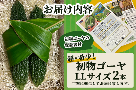 【予約受付】「最優秀賞」受賞の農家！希少品！贈答用「初物ゴーヤ」2024年12月下旬～2025年1月上旬発送 OI-1
