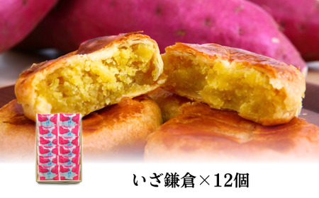 関東あばれんぼう いざ鎌倉 セット |  洋菓子 焼き菓子 洋菓子 焼き菓子 洋菓子 焼き菓子 洋菓子 焼き菓子 洋菓子 焼き菓子