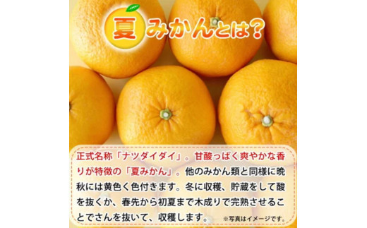 【先行予約】夏みかん 7.2kg　※2026年4月中旬頃〜2026年4月下旬頃順次発送（お届け日指定不可） / くだもの 果物 フルーツ 柑橘 有田みかん みかん オレンジ 和歌山【uot775】