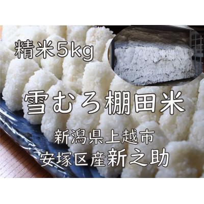 ふるさと納税 上越市 雪むろ棚田米新之助 5kg 精米