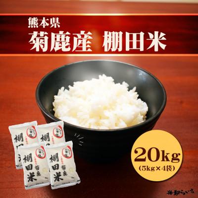 ふるさと納税 山鹿市 山鹿市菊鹿棚田米20kg(5kg×4袋) | 