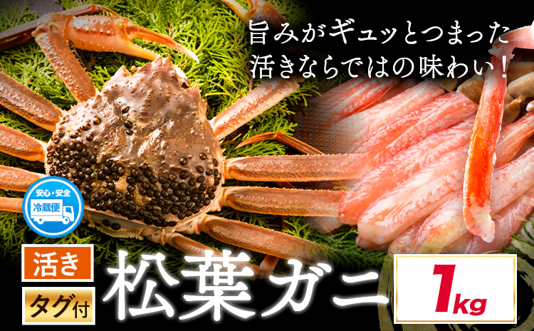 活き タグ付き 松葉ガニ カニ 1kg 1杯 さんチョク《11月中旬から4月上旬頃出荷》鳥取県 八頭町 送料無料 蟹 かに 鍋 ズワイガニ ズワイ蟹 生 冷蔵