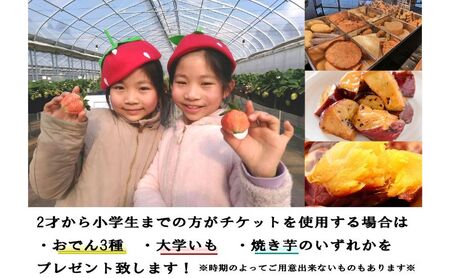 いちご狩り4名用チケット 体験チケット フルーツ狩り 親子 子連れ ファミリー 食べ比べ お出かけ 