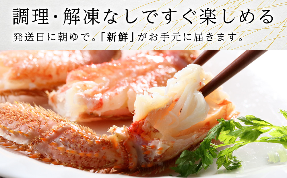 北海道産【朝ゆで】毛ガニ（550g前後）1尾 期間限定！≪かにのマルマサ≫ かに 毛がに カニ 千歳 北海道 海鮮