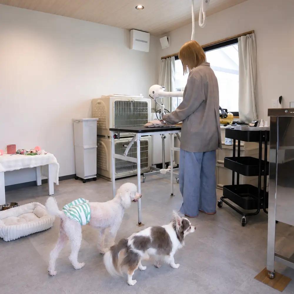 ドッグサロン 利用補助券 9,000円分 Dogsalon Linoa li-hkxxx9000