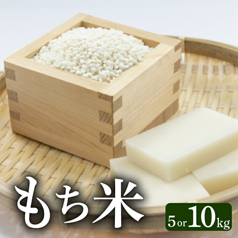 【ふるさと納税】 モチ米 選べる 5kg 10kg 高知県産 農家直送 もち米 こめ コメ おこめ 精米 お米 ごはん おコメ 国内産 農家 特産品 贈答用 食品 和食 餅 おもち 餅つき 正月 年末年始 安芸市 高知県