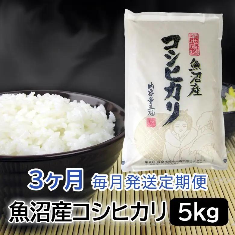 お米マイスター厳選！魚沼産コシヒカリ５kg×３ヶ月毎月発送 定期便 新潟県 精米 白米