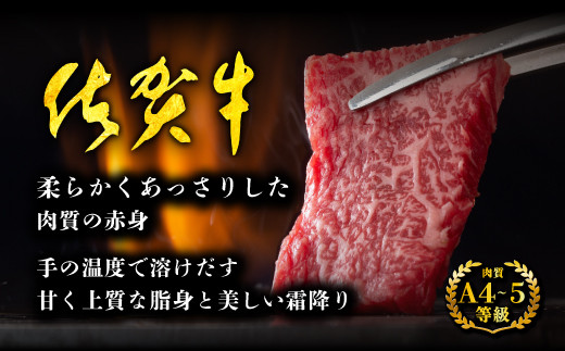 佐賀牛 ミンチ 500g 国産 牛肉 ミンチ肉 挽肉 ひき肉 挽き肉 ブランド 牛 肉 B-903