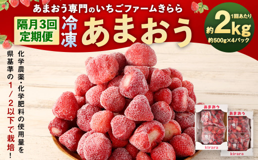 【隔月3回定期便】｢いちごファームきらら｣の冷凍あまおう 約2kg×3回 計約6kg 【2025年2月下旬より順次発送】 いちご イチゴ 苺 果物 あまおう 冷凍