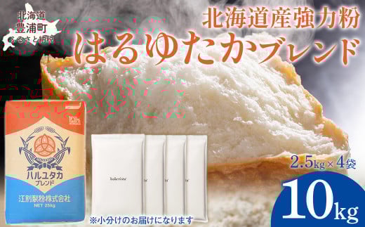 はるゆたかブレンド 10kg 【 ふるさと納税 人気 おすすめ ランキング 小麦粉 パン 国産 北海道 江別製粉 はるゆたか ブレンド 自宅用  北海道 豊浦町 送料無料  】 TYUAI005