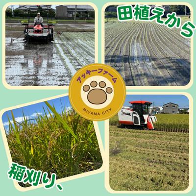 ふるさと納税 みやま市 【令和8年産】アッキーファームのお米「元気つくし」 5kg 白米 |  | 01