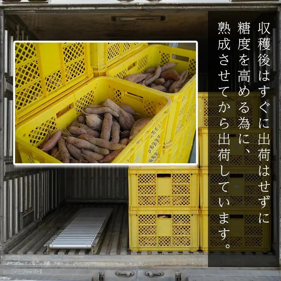【訳あり】さつまいも 熟成 安納芋 約5kg 焼き芋 焼芋 やきいも ねっとり 濃厚 蜜芋 芋 おいも サツマイモ さつま芋 安納いも スイーツ おやつ 国産 産地直送 栽培期間中農薬不使用 高知県 