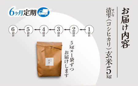 ＜令和7年9月末より発送予定！＞【６ヶ月定期便】京都夜久野産　清雫（せいな）　コシヒカリ＜玄米5kg×6回＞/ 令和7年度産 先行 定期 5kg 収穫 6回 玄米 夜久野 京都 京都府 福知山 FCD