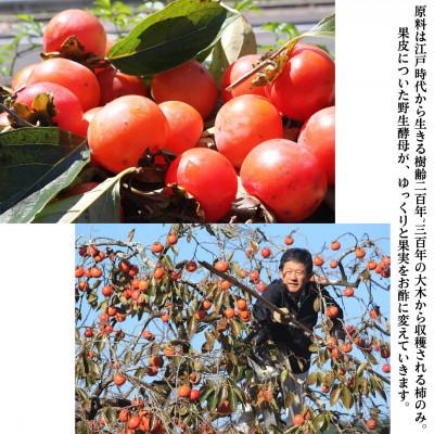 ふるさと納税 南島原市 野生酵母 柿酢 200ml×1本 + 300ml×1本 (6年熟成品) |  | 01