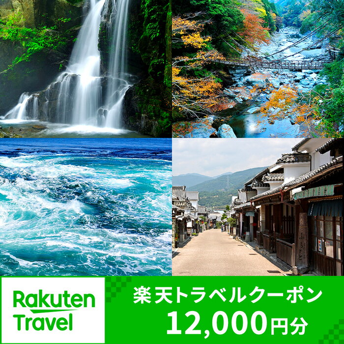 【ふるさと納税】 徳島県の対象施設で使える楽天トラベルクーポン 12,000円分 徳島県 徳島 すだち 大野 海苔 のり お土産 米 徳島ラーメン ラーメン 道の駅 観光 ホテル 美術館 名物 温泉 グルメ 徳島ヴォルティス フィッシュカツ 半田そうめん 阿波踊り お菓子 日本酒 藍染
