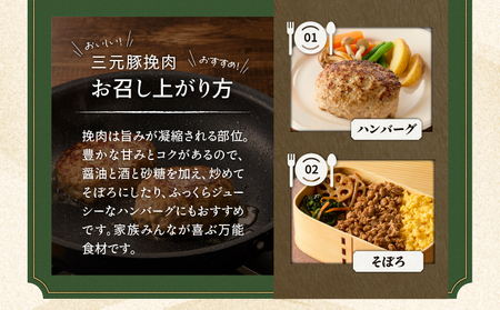【 平田牧場 】 三元豚 ひき肉 600g T036-017 肉 お肉 にく 豚 豚肉 ブタ ぶた 挽肉 ハンバーグ 黒豚 バークシャー種 特別品種 便利 パック おかず 夕食 美味しい おいしい ジ