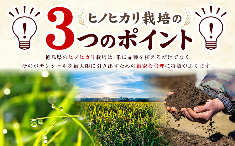 米 ヒノヒカリ 10kg JA徳島県脇町営農経済センター 《30日以内に出荷(土日祝除く)》ごはん こめ ご飯 徳島県 美馬市