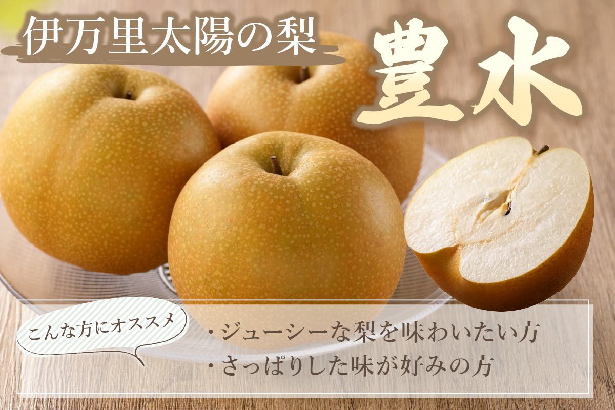 【2026年産先行予約】伊万里梨 「豊水」 約5kg ご自宅用におすすめ 178-B939