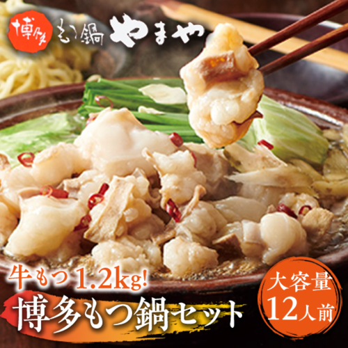 【大容量】もつ鍋セット　牛もつたっぷり計1.2kg！　博多もつ鍋やまや　国産牛もつ　篠栗町本社　AZ040