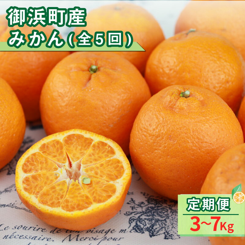 【ふるさと納税】丸安青果 大好評、みかんの定期便！その月一番のおすすめ旬のみかんをお届けいたします(全5回)