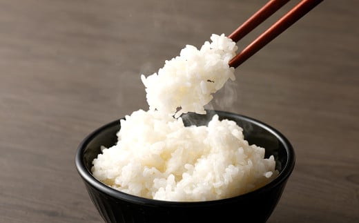 ＜14営業日発送＞【令和6年産】 くまもと の ブランド米 くまさんの輝き 10kg 5kg×2袋 精米 コメ 米 お米 ごはん 白米 熊本県産