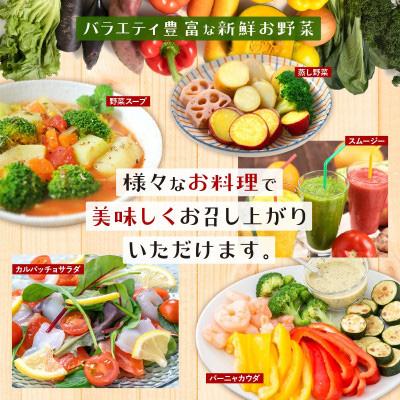 ふるさと納税 鹿島市 【毎月定期便】肥前の国のお野菜詰め合わせセット(鹿島市)全6回 |  | 02