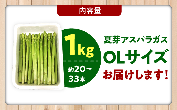 【夏芽】アスパラガス 計1kg（〇Lサイズ） / アスパラ アスパラガス 野菜 新鮮 / 佐賀県 / さが風土館季楽 [41AABE104]