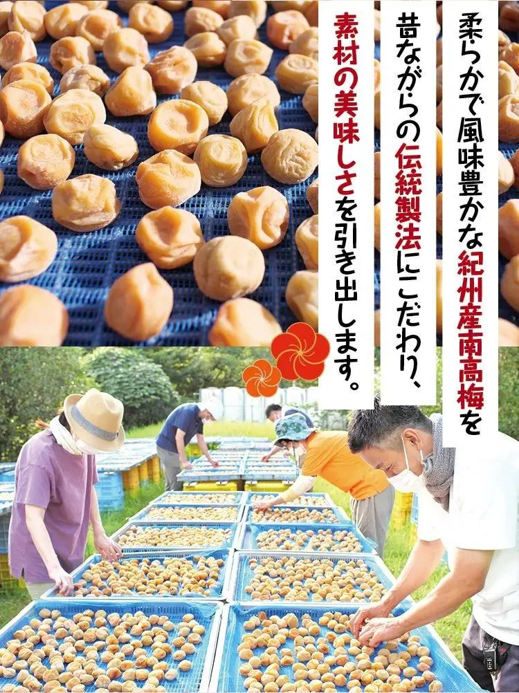 梅干し 無添加 完熟南高梅  2.5kg (1.25kg×2P) 塩分約20％ 梅干し【njb647A】