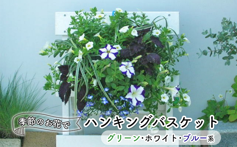 
季節のお花でハンキングバスケット（グリーン･ホワイト･ブルー系）
