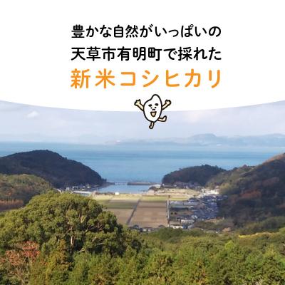ふるさと納税 天草市 〈令和8年産〉熊本県天草産　天草コシヒカリ6kg(3kg×2)_S109-003A |  | 01