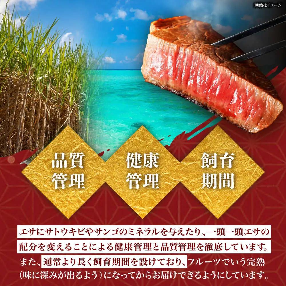 牛肉 焼肉 【全6回定期便】佐渡山牛 切り落とし 500g 和牛 BCBC009
