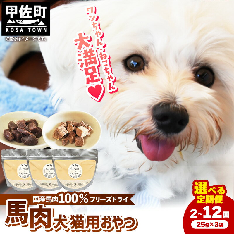 【ふるさと納税】【選べる定期便】 馬肉100％ 犬猫用おやつ 25g×3袋【2回／3回／6回／12回】- フリーズドライ ペット 小分け 常温 馬肉 栄養豊富 健康 ペット用 おやつ 熊本県 甲佐町