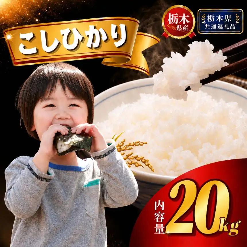 【新米】 令和8年産栃木県産 コシヒカリ20kg（5kg×4袋）【栃木県共通返礼品 栃木県産】AB | 栃木県 下野市 