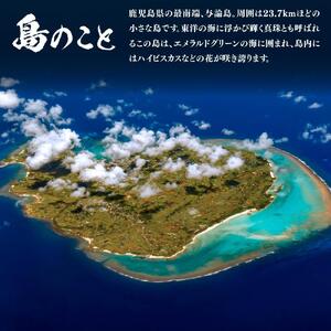 与論島銘酒「島有泉」黒麹20度1800ml×6本セット | お酒 焼酎