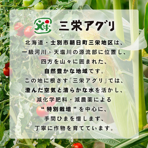 ＜先行予約受付中＞北海道士別市産！カットかぼちゃ ほくあま(150g×3個) 【2026年12月以降発送予定】レトルト 小分け 常温 加熱加工 かぼちゃ カボチャ 南瓜 皮つき カット野菜 時短 簡単