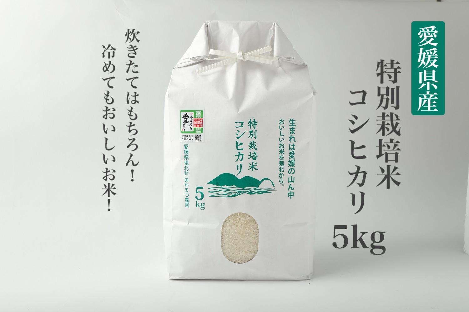 
令和5年産 愛媛県産 特別栽培米コシヒカリ5kg【えひめの町（超）推し！（鬼北町）】(393)
