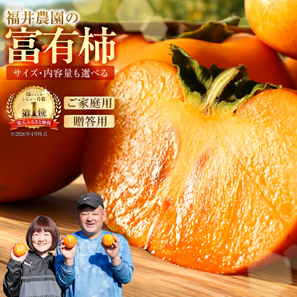 【ふるさと納税】【先行予約】《 訳あり 》 富有柿 約3kg or 約6kg or お試し 8個 約1.3kg [mt028] ｜富有柿 かき フルーツ 柿 かき 果物 訳あり訳アリ 規格外 ご家庭用 ちょうど わけあり 不揃い ふぞろい フルーツ 本巣市 10000円 1万円 7000円 5000円 5千円 福井農園