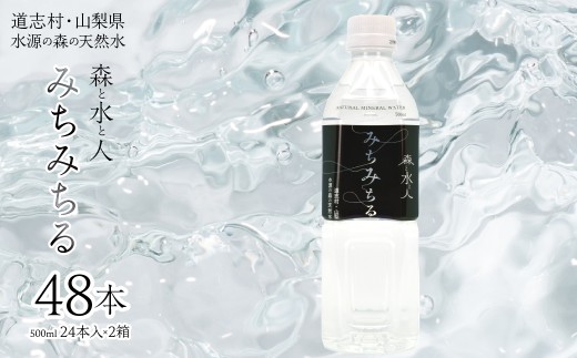 道志村天然水【みちみちる】 山梨県 道志村 水・ミネラルウォーター DSM003