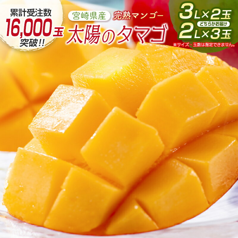 【ふるさと納税】宮崎県産 完熟マンゴー『太陽のタマゴ』（2L×3又は3L×2）西都市特産品【数量限定】西都市産＜3-48＞ 果物 フルーツ 先行予約
