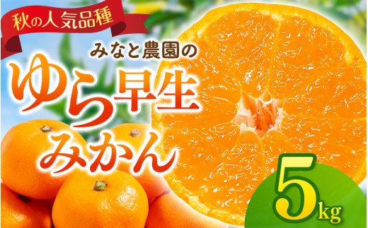 【数量限定】みなと農園のゆら早生みかん  約5kg 2S～Lサイズ混合 【2026年10月中旬頃〜順次発送】 みかん ミカン 蜜柑 温州みかん 温州ミカン 柑橘 フルーツ 果物 くだもの 早生 甘い 旬 人気 産地直送 三重県 熊野市【mntf0007】