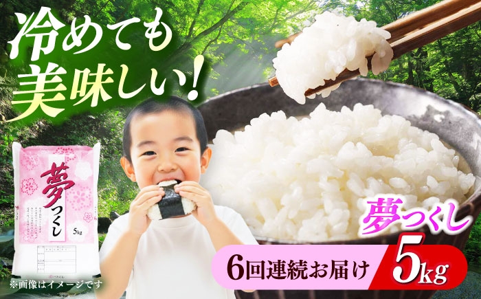
                  【全6回定期便】 【令和7年度産 】福岡県産米 夢つくし 5kg 精米《築上町》【有限会社ファインリョーコク】 [ABCO023] ふるさと納税 ごはん 米 お米 白米 こめ コメ ブランド米 精米 国産 新生活 お祝い ギフト 仕送り 仕送りしおくり シオクリ siokuri 新生活 一人暮らし ひとりぐらし 104000 104000円
                