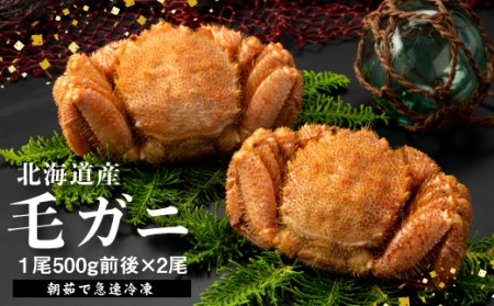 【北海道産】『冷凍』毛ガニ500g前後×2杯【急速冷凍】【52002003】