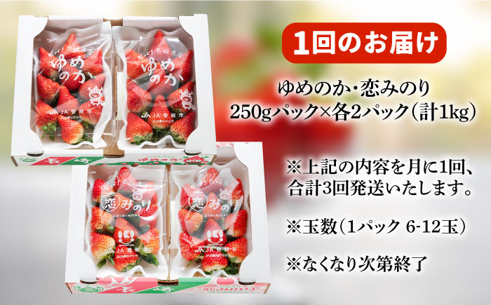 【先行予約受付中】【全3回定期便】《R6年2月～4月出荷》いちご イチゴ 苺 ゆめのか 恋みのり 計 1kg「ゆめ恋セット」 （250g × 4パック）《壱岐市》【蒼花】 [JEO003] 39000