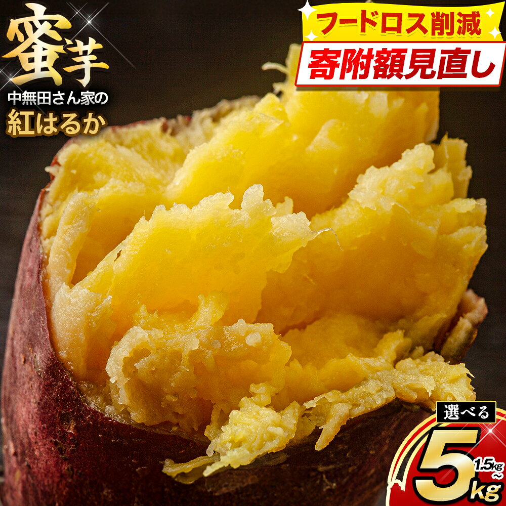 【ふるさと納税】＜寄附額見直し＞ さつまいも 訳あり 紅はるか 選べる 内容量 約1.5kg 約5kg (大中小サイズ不揃い) 熟成 蔵出し 熊本県大津町 中無田農園《1-5日以内に出荷予定(土日祝除く)》 芋 イモ スイートポテト 干し芋にも 名産地 特産品 秋 旬