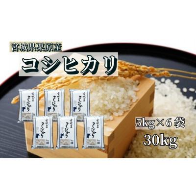 ふるさと納税 栗原市 【令和7年産】宮城栗原産 コシヒカリ 白米30kg (5kg×6袋)