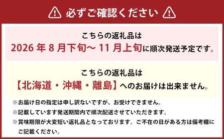 シャインマスカット 晴王 2房 （1房480g以上） 化粧箱入り 【2026年8月下旬～11月上旬迄発送予定】／ マスカット 葡萄 ぶどう 果物 果実 フルーツ 種なし 皮ごと 大粒 岡山県 美咲町 