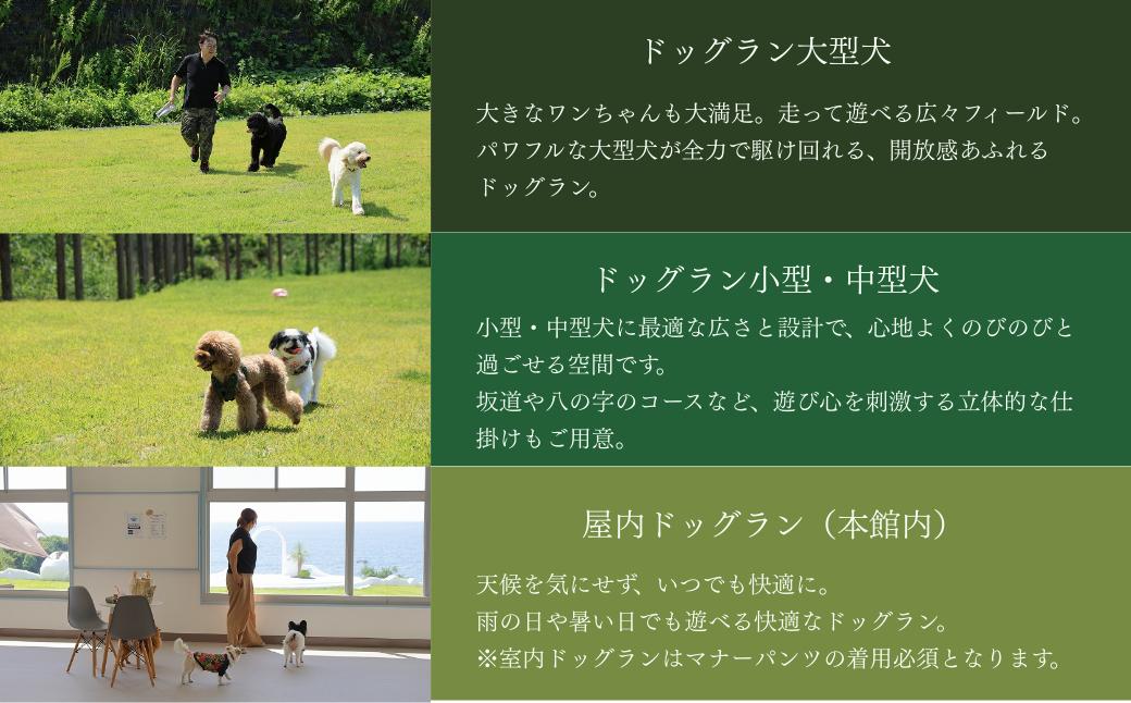 キャンプ ドッグラン 天然芝 チケット 5,000円 アウトドア サウナ トリミング ワンちゃんホテル 酵素風呂 リゾート 犬 ペット 海 日本海 新潟県 出雲崎町