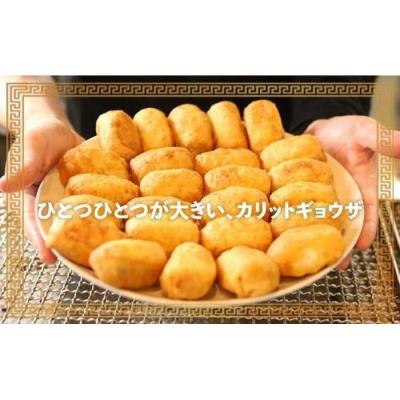 ふるさと納税 名古屋市 カリットギョウザ 生餃子 48ケ【6人前】 |  | 01