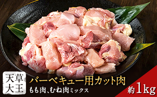 
天草大王 バーベキュー用カット肉 1kg 熊本県産 【幻の地鶏】玉東町 もも肉 むね肉《60日以内に出荷予定(土日祝除く)》
