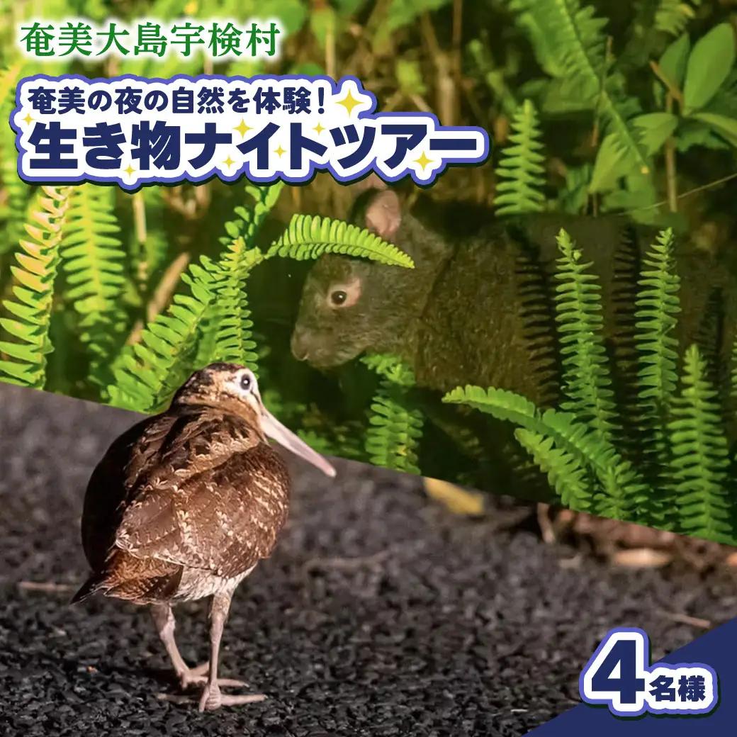生き物ナイトツアー 4名様 奄美大島 宇検村 鹿児島県 旅行 自然 冒険 完全プライベート